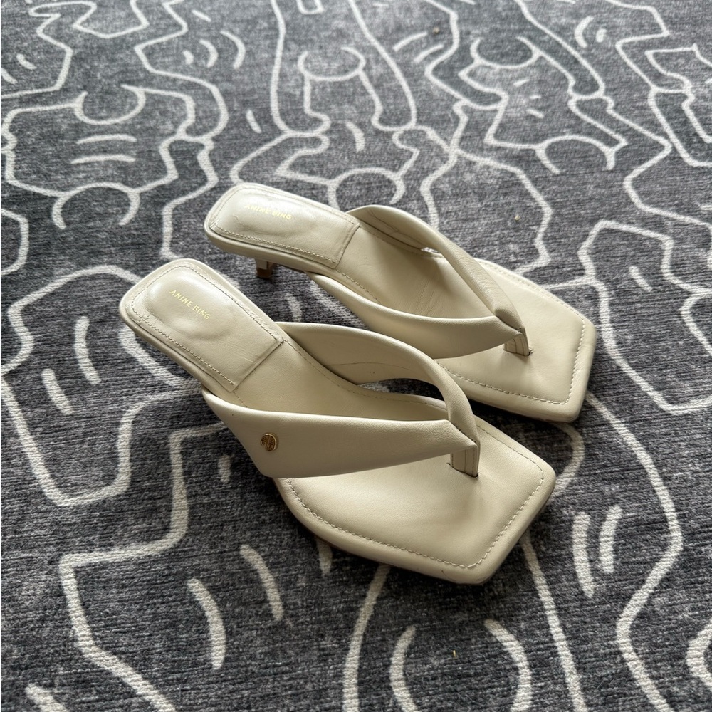 Anine Bing Thong Heel Sandals